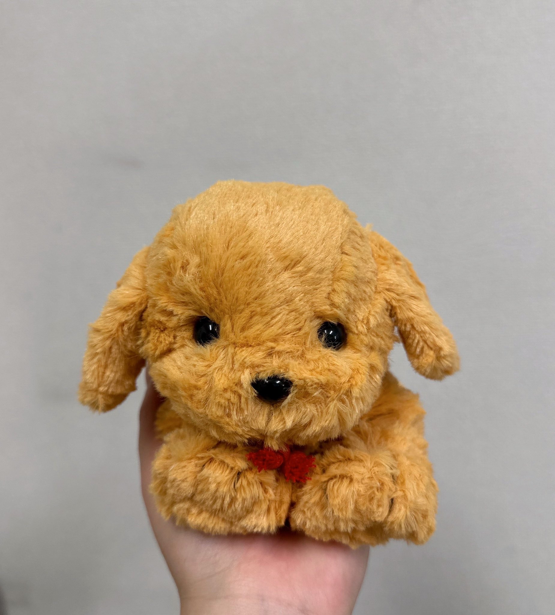 タケノコちゃん専用 GsIPZY0aUAU963F.jpg