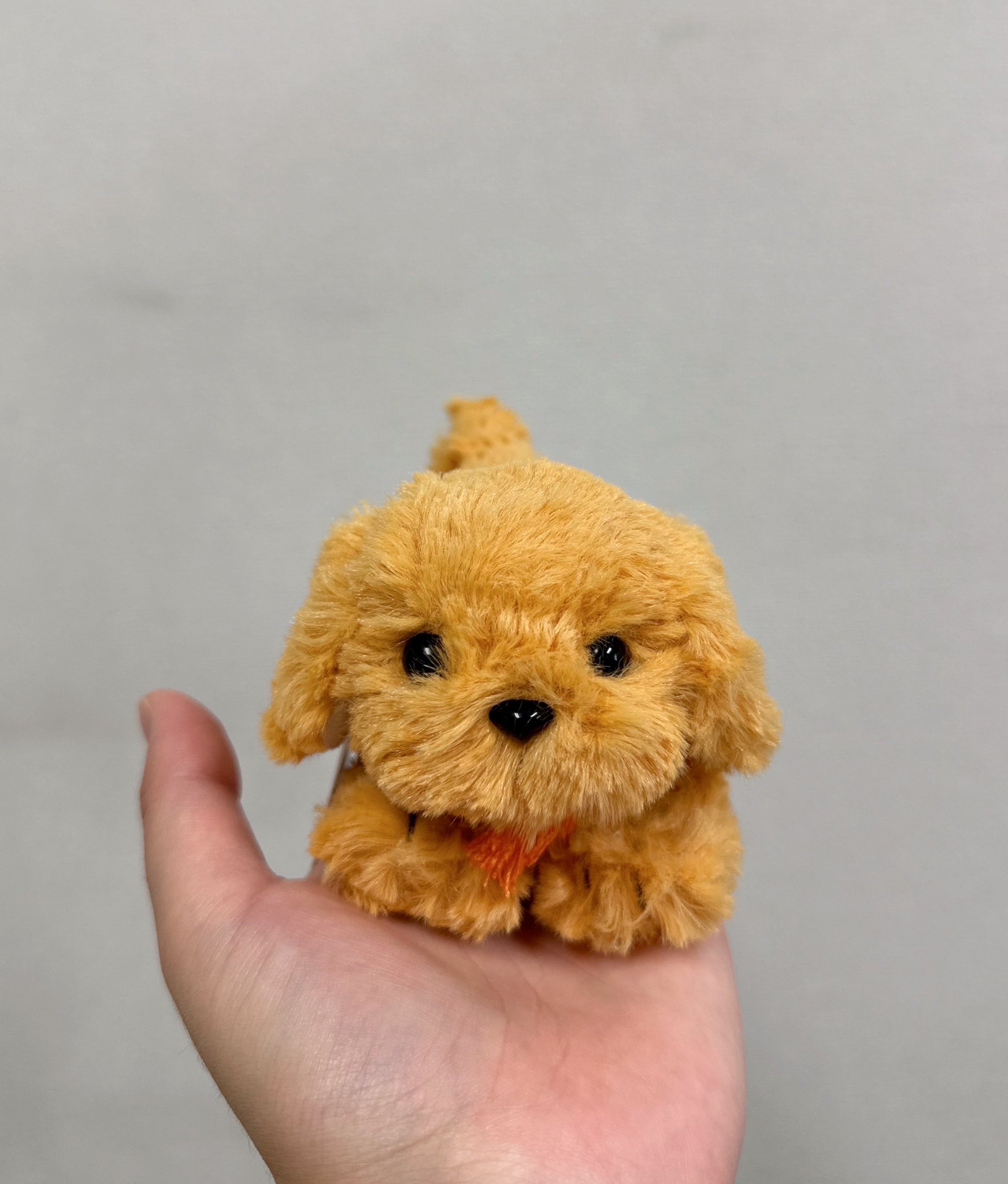 タケノコちゃん専用 タケちゃん監修