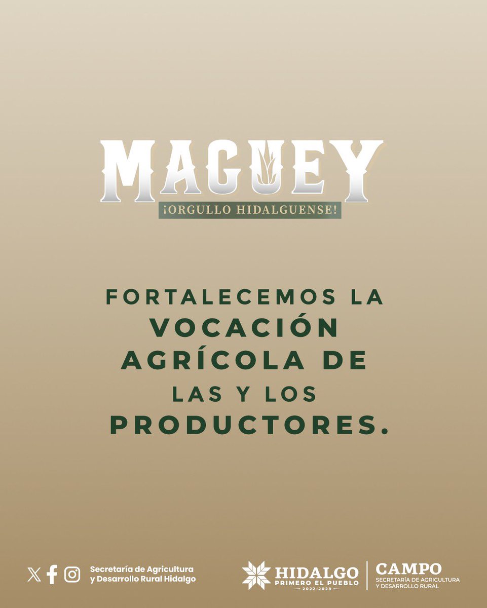 Enfoque_hgo's tweet image. 💼 En la SADERH se generan empleos para miles de familias rurales con el #maguey como motor.🌿
Líderes en su producción en México.🌵
#PrimeroElCampo