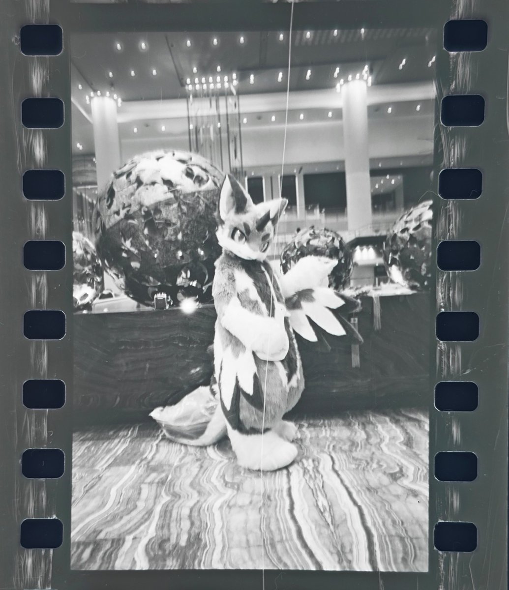 一张胶片，爱来自天冰冰~<a href="/tianbingskyice/">天冰冰-</a>