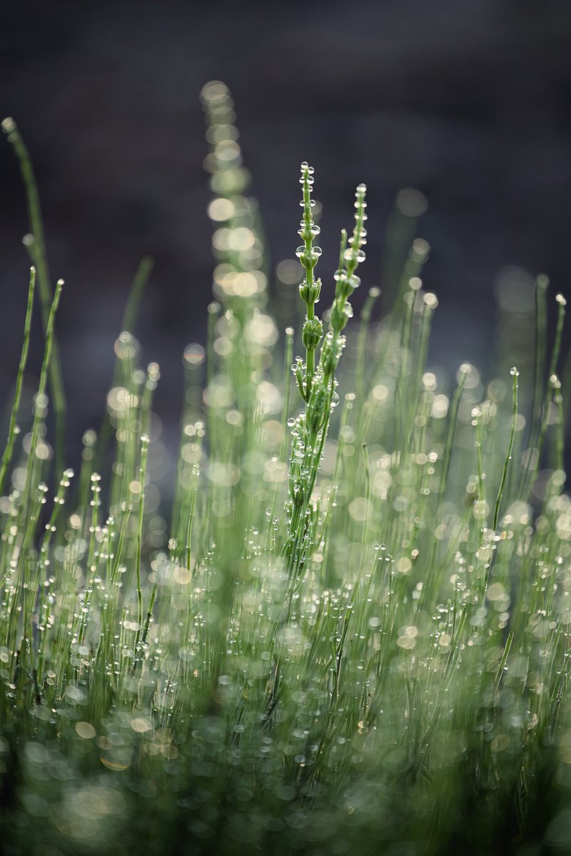Share your green photos with us! 💚