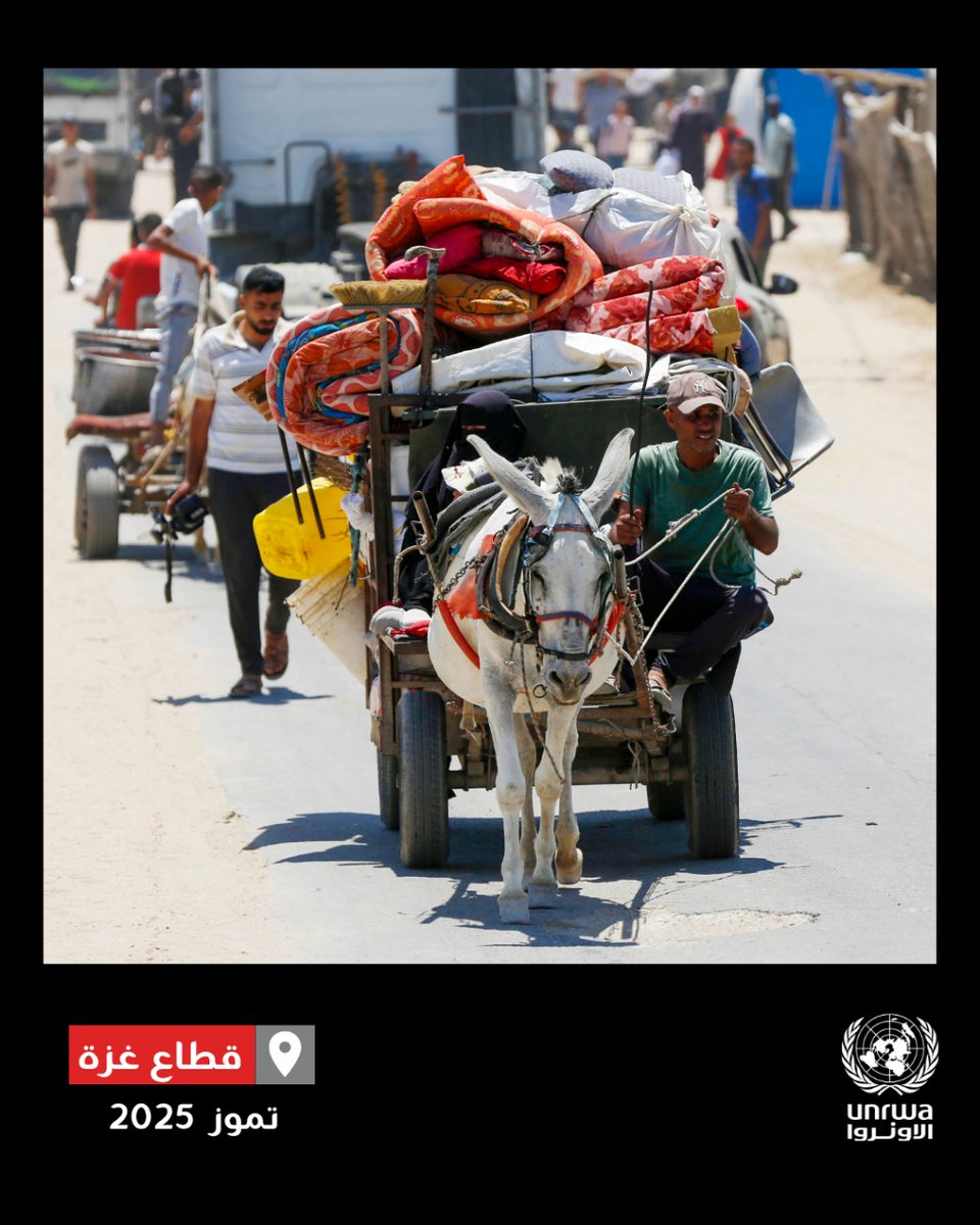 UNRWAarabic's tweet image. يستمر النزوح في أنحاء #غزة، حيث لم يعد الوصول ممكنًا إلا إلى أقل من عُشر مساحتها، مما فاقم من العزلة بين الشمال والجنوب.
يُجبر الناس على الفرار مجددًا، دون أي مكان آمن يلجؤون إليه.
لقد نزح الكثيرون بالفعل عدة مرات.
#وقف_إطلاق_النار بات ضرورة ملحة.