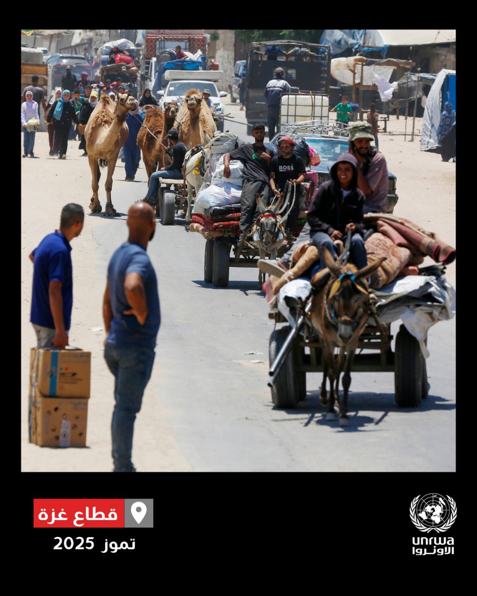 UNRWAarabic's tweet image. يستمر النزوح في أنحاء #غزة، حيث لم يعد الوصول ممكنًا إلا إلى أقل من عُشر مساحتها، مما فاقم من العزلة بين الشمال والجنوب.
يُجبر الناس على الفرار مجددًا، دون أي مكان آمن يلجؤون إليه.
لقد نزح الكثيرون بالفعل عدة مرات.
#وقف_إطلاق_النار بات ضرورة ملحة.