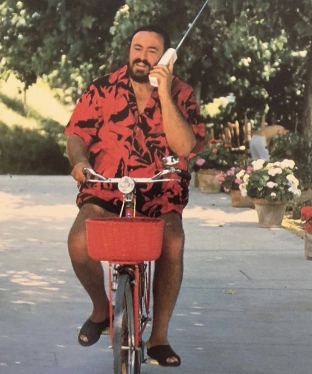 uncle_june's tweet image. Alternate timeline Tony Soprano, if the ducks stayed