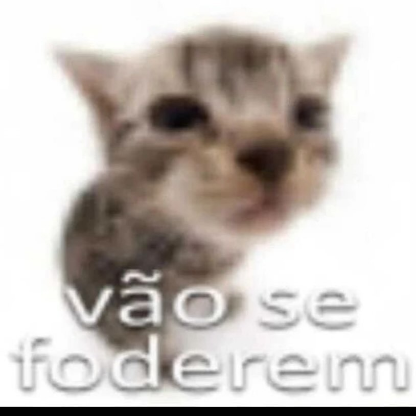 odeiootaco's tweet image. viu esse post na timeline???
comenta a segunda imagem da sua galeria