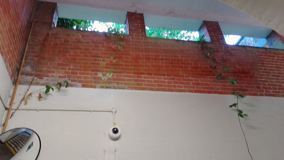 Natasha Allan tweet media