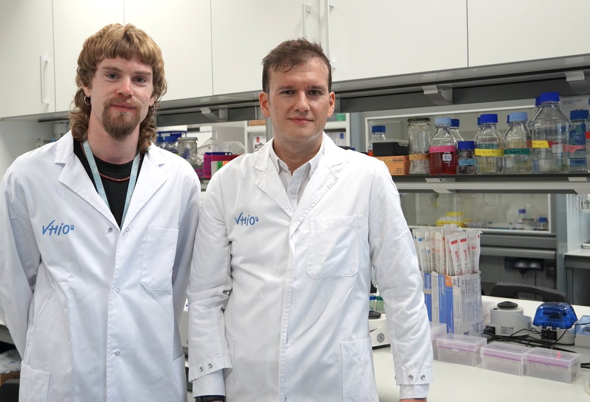 Vall d’Hebron Institute of Oncology (VHIO) (@vhio) on Twitter photo 🚨 New study published in <a href="/MCT_AACR/">Molecular Cancer Therapeutics</a> ‼️
Led by <a href="/quimmateo/">Joaquin Mateo</a> & <a href="/julianbrandariz/">Julian Brandariz</a> and funded by <a href="/ContraCancerEs/">Asociación Española Contra el Cáncer</a>, it presents a novel one-two punch treatment with promising effects in preclinical models of advanced prostate cancer.
➡️ linke.to/MCTherapeutics… 🚨 New study published in <a href="/MCT_AACR/">Molecular Cancer Therapeutics</a> ‼️
Led by <a href="/quimmateo/">Joaquin Mateo</a> & <a href="/julianbrandariz/">Julian Brandariz</a> and funded by <a href="/ContraCancerEs/">Asociación Española Contra el Cáncer</a>, it presents a novel one-two punch treatment with promising effects in preclinical models of advanced prostate cancer.
➡️ linke.to/MCTherapeutics…