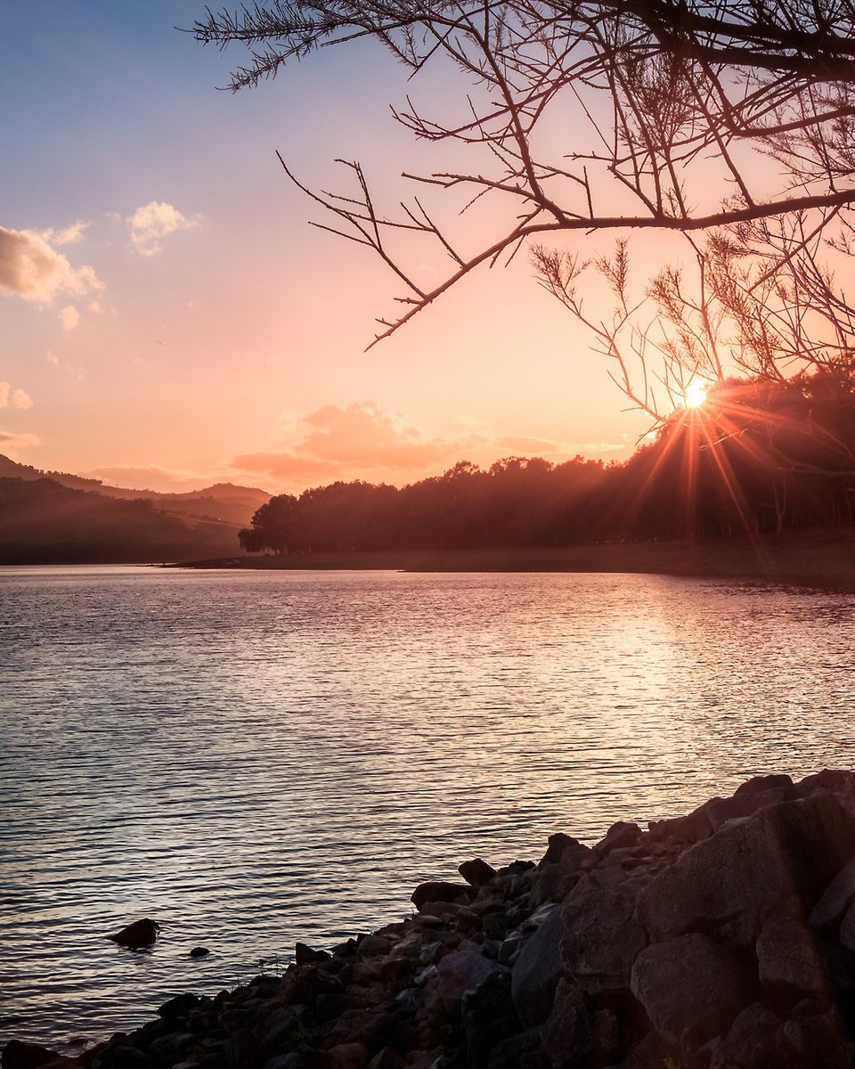 VisitSicilyOP's tweet image. Among the golden shades of a timeless sky, Lake Pozzillo reflects itself in an enchanting silence.
📷 Salvo Olimpo photo
#regalbuto #enna #visitsicilyinfo #estateinsicilia #sicilia #sicily #nature