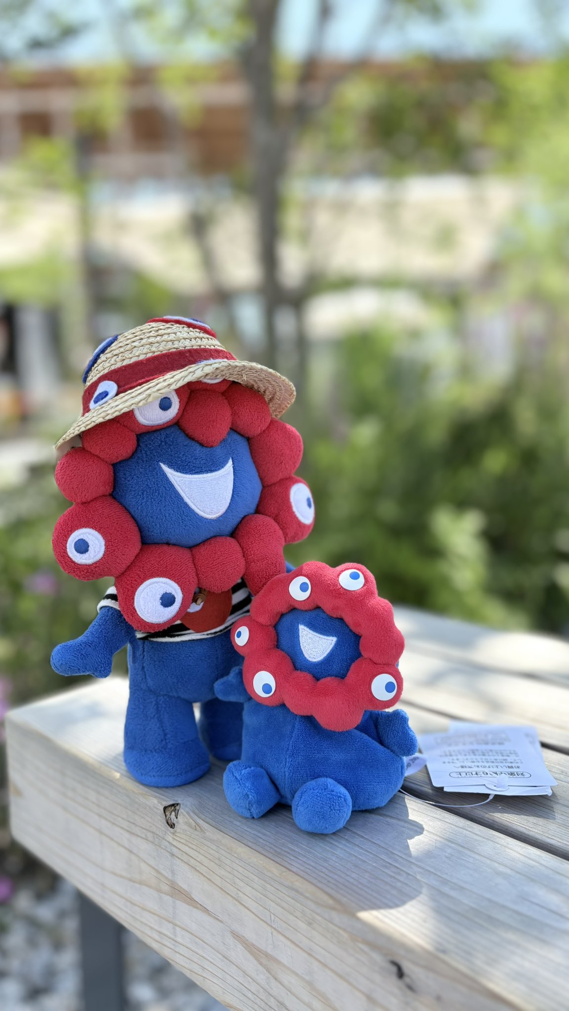 ポキポキミャクミャク - Search / X