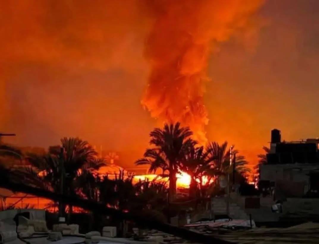 PalPress24's tweet image. The palm trees of the city haven't slept—death still haunts them.
The fruit burned before it could ripen, and smoke has become a permanent shadow over the homes.
The smell of death surrounds Deir al-Balah like an insatiable ghost 💔
Yet the city stands firm, screaming in its…