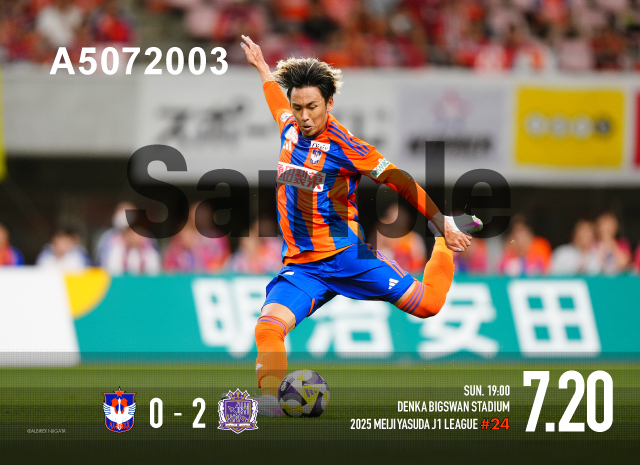 アルビレックス新潟 on X