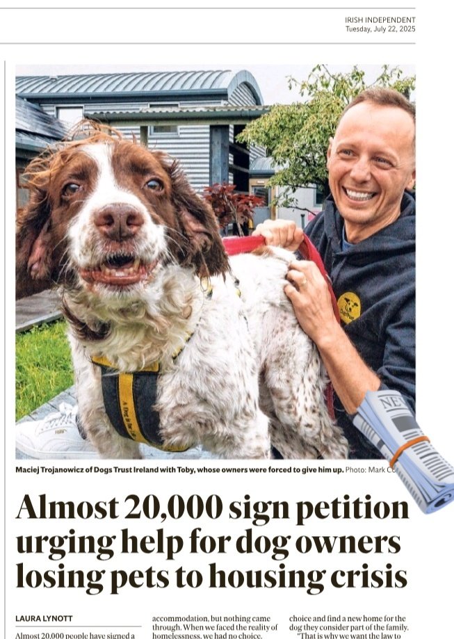 caulmick's tweet image. Thousands sign petition urging Government to help dog owners forced to choose between their pet or their home
The Dublin animal charity is seeking measures to stop landlords banning pets in rental homes after a huge spike in dog surrenders due to the housing crisis over the last…