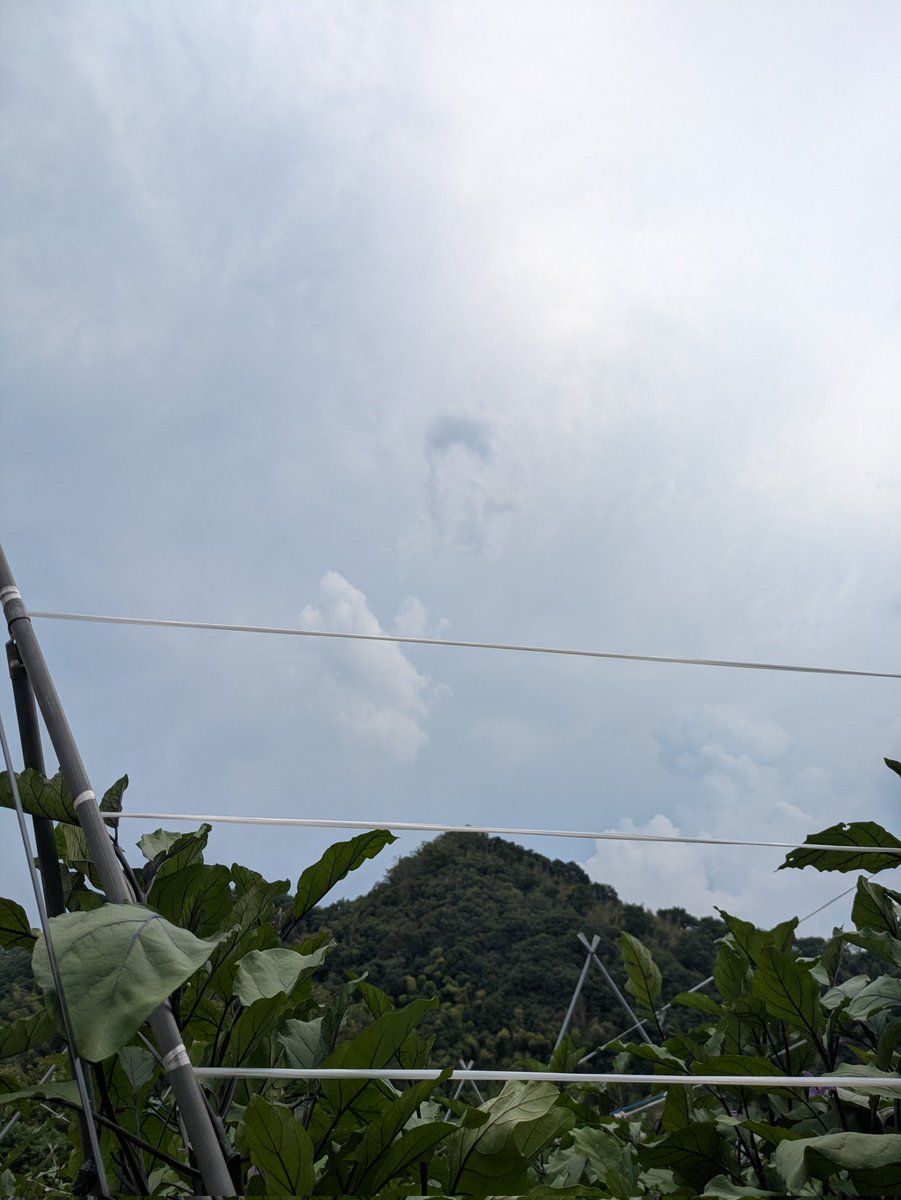 antares905's tweet image. 午後の仕事を始めてからずーっと雷⚡️が鳴ってるんだけど、降る気配なし❌
北部はヤバいほど大雨☔☔☔☔☔が降ってるようだけど😱