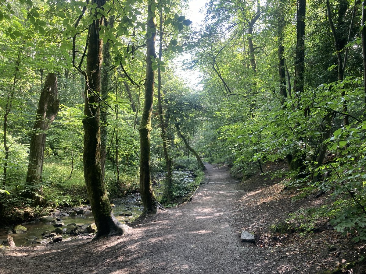doristhehat's tweet image. Good morning everyone wishing you a lovely day 馃榾yesterday鈥檚 wonderful wander thru Whiteley Wood to Forge Dam 馃挌
#Sheffield