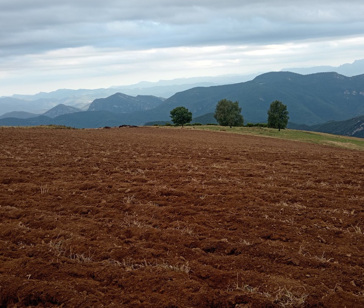 xaiecologic's tweet image. La meva terra és com un parrac grapejat, un país vençut pel davant i pel darrere, d'atrotinada dignitat....
#QuimiPortet
Però sempre ens quedaran les muntanyes, els cels i els turons amics que canta el poeta.
#Pertinença
#FillsDeLaTerra
#EncaraSom
#ConstruïmElFutur 🚜🐑✊