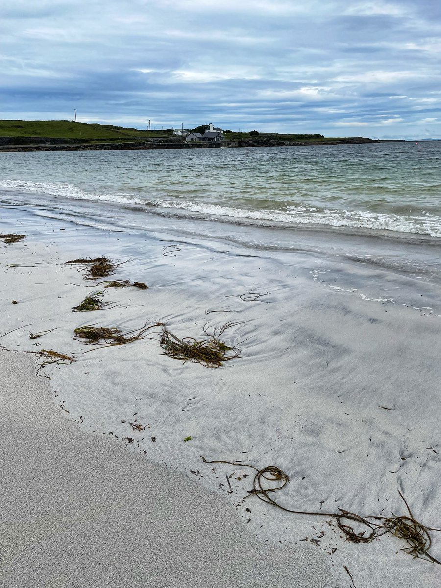 pagep195's tweet image. A couple of nights on Inis Mór…
I could happily see out the rest of my days there.