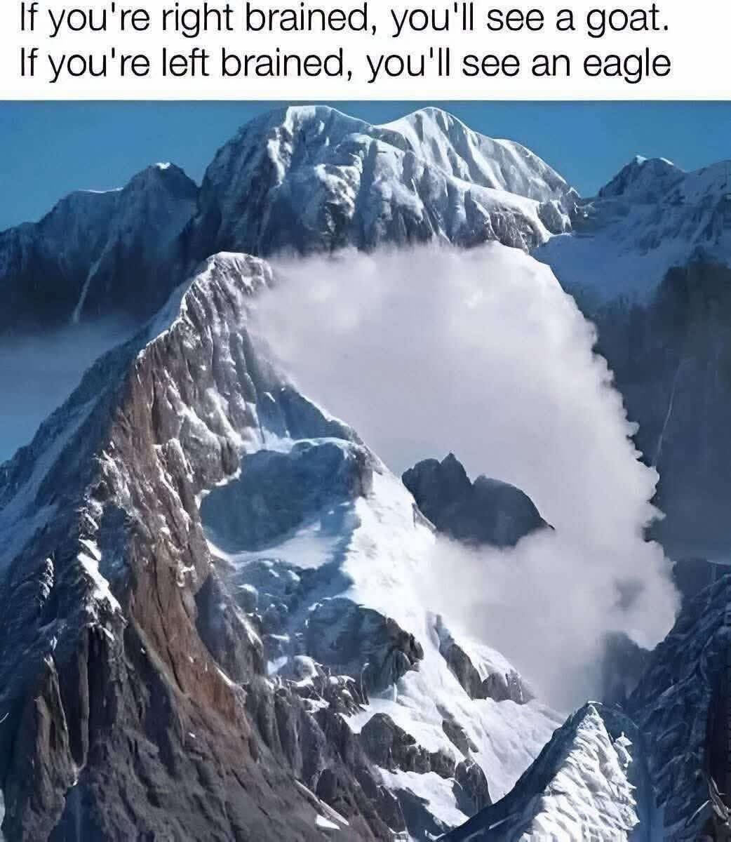 zedcreator's tweet image. 