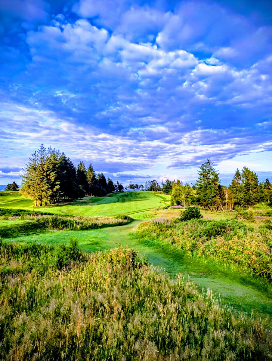 <a href="/gc_ranfurly/">RanfurlyCastleGC</a> in absolutely amazing condition right now. <a href="/RanfurlyGC1889/">Greenkeeper Drum</a> <a href="/ethanlawgolf/">Ethan Law</a> <a href="/pxg/">Parsons Xtreme Golf</a> <a href="/VisitScotGolf/">VisitScotland Golf</a>