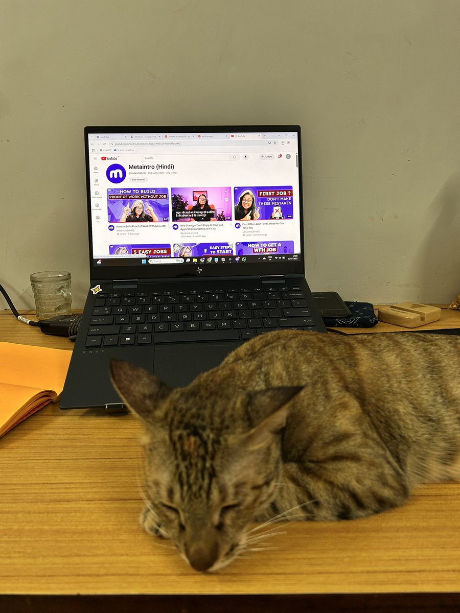 Need tips on how to get work done when your desk is hijacked by such a little furry ball 🐱