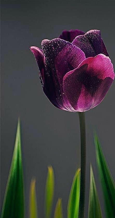 افهم 
التلميحات 
لكني احب الوضوح