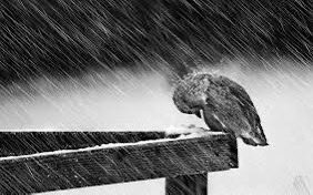 No era fuerte,
era valiente.
La fuerza la aprendí después.