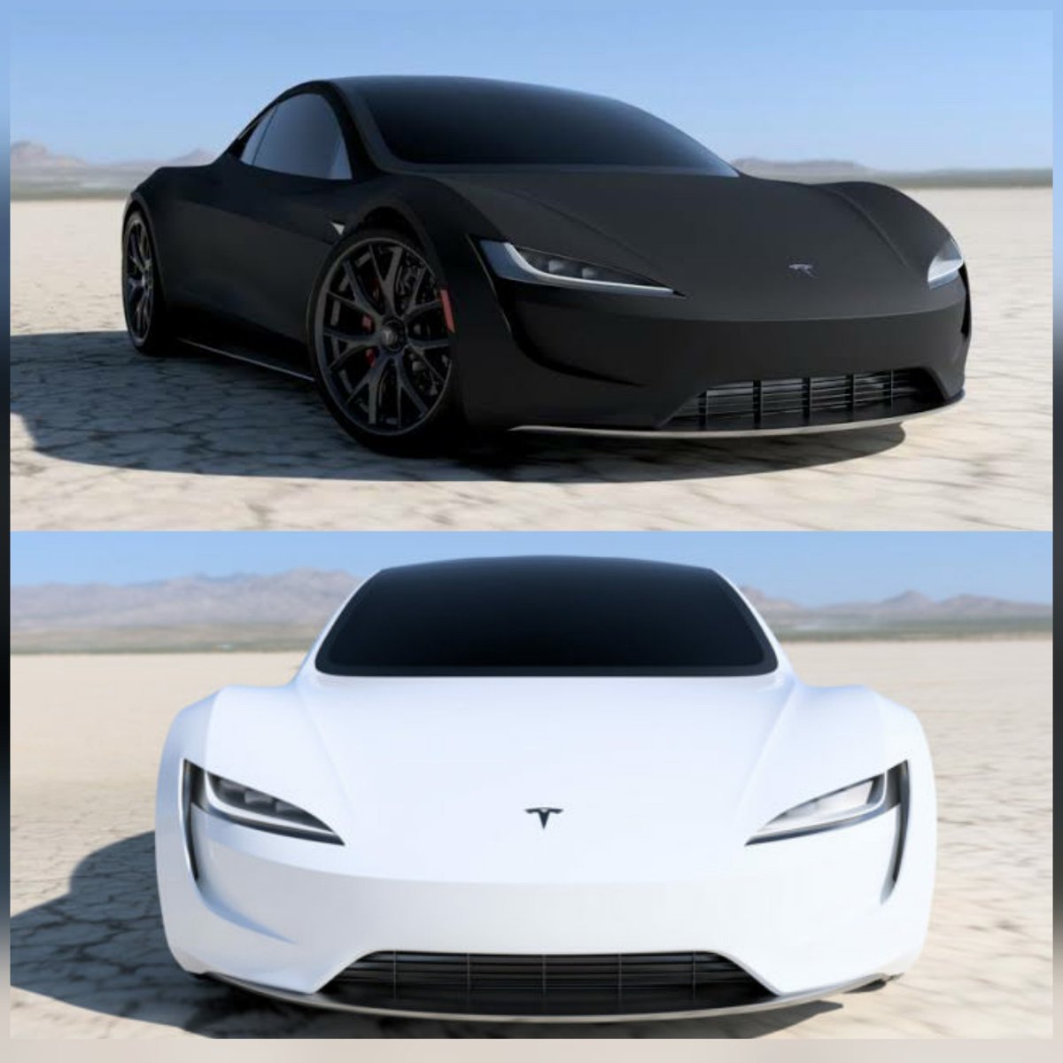 Tesla Black or White?