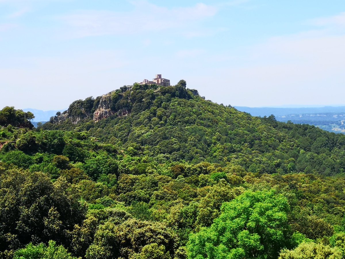 📢Inscriu-te a la XI Trobada de presentació d'estudis del Montseny
📅19 i 20 de novembre 
📌Teatre Pare Casals, Sant Esteve de Palautordera
ℹ️ parcs.diba.cat/ca/web/l-infor…