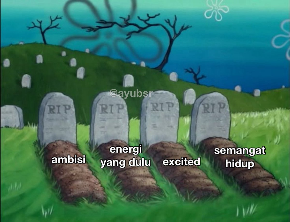 ayubsr's tweet image. 