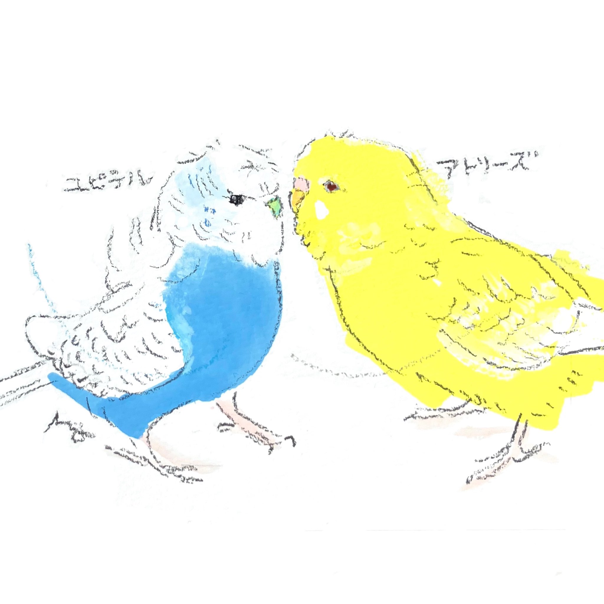 【真緒ページ】「カラフルインコさん」 「サッカーしようよ」 もみたろう on X: 