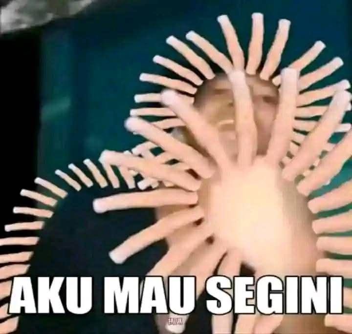 pengen jadi sapi (@vxilzie) on Twitter photo 