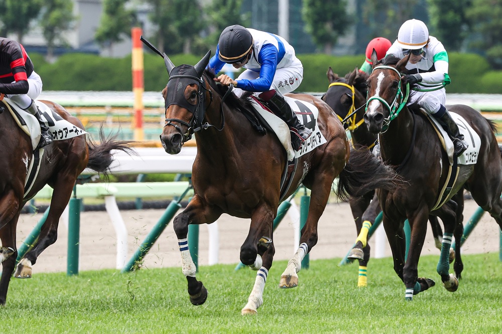 ロードホースクラブ 2025年27勝目】 #ラブリーリディア🐴横山武史騎手