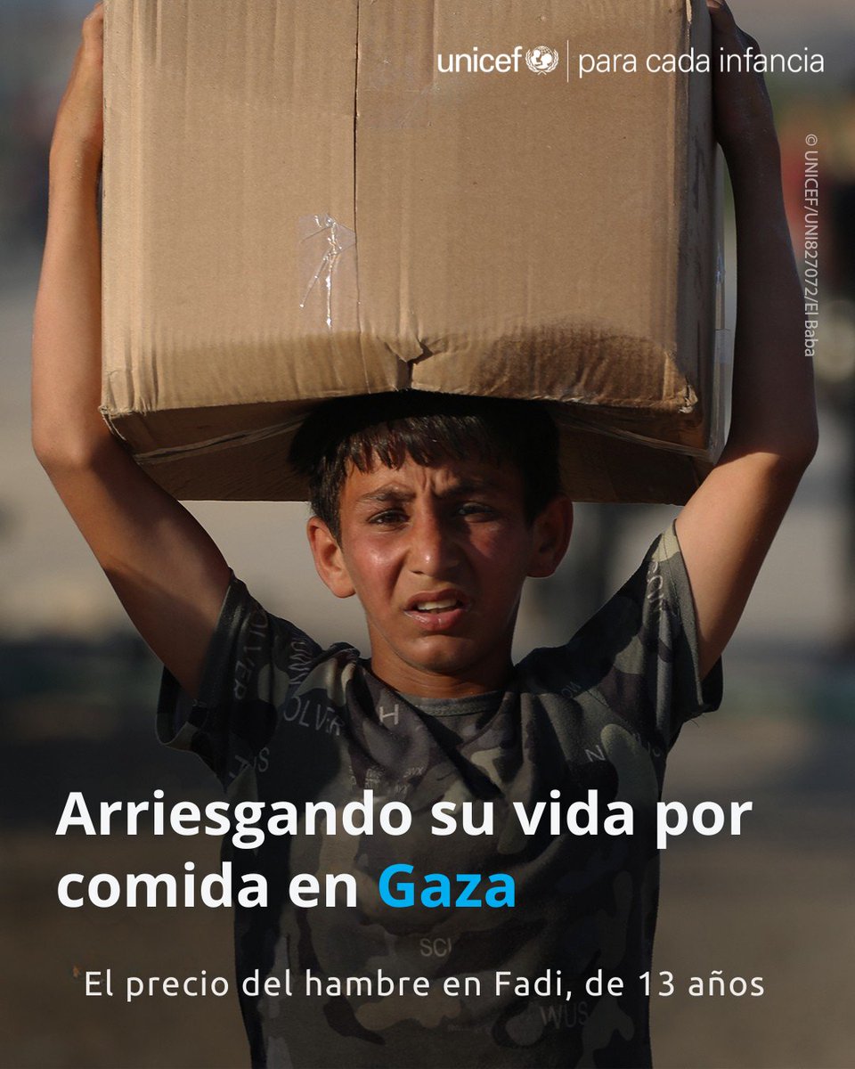 El hambre extrema en Gaza es consecuencia de que la ayuda humanitaria no entre con la rapidez y magnitud necesarias. Niños como Fadi arriesgan su vida por una caja de comida.Debemos poder entregar ayuda a todas las familias. Miles de vidas dependen de ello instagram.com/p/DMZmjKFo_GF/…