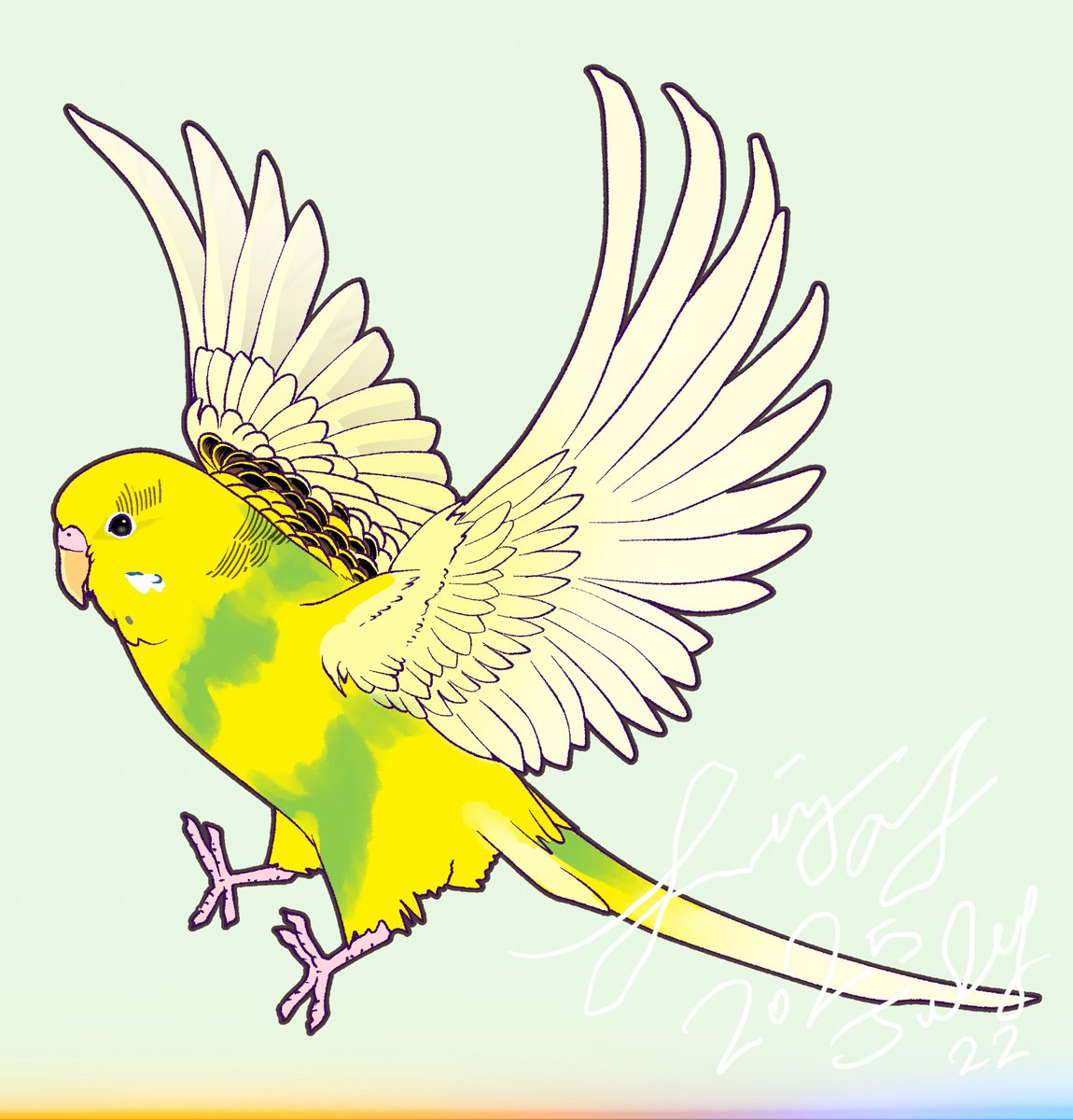 リズさんち🦜👦✨ on X: 
