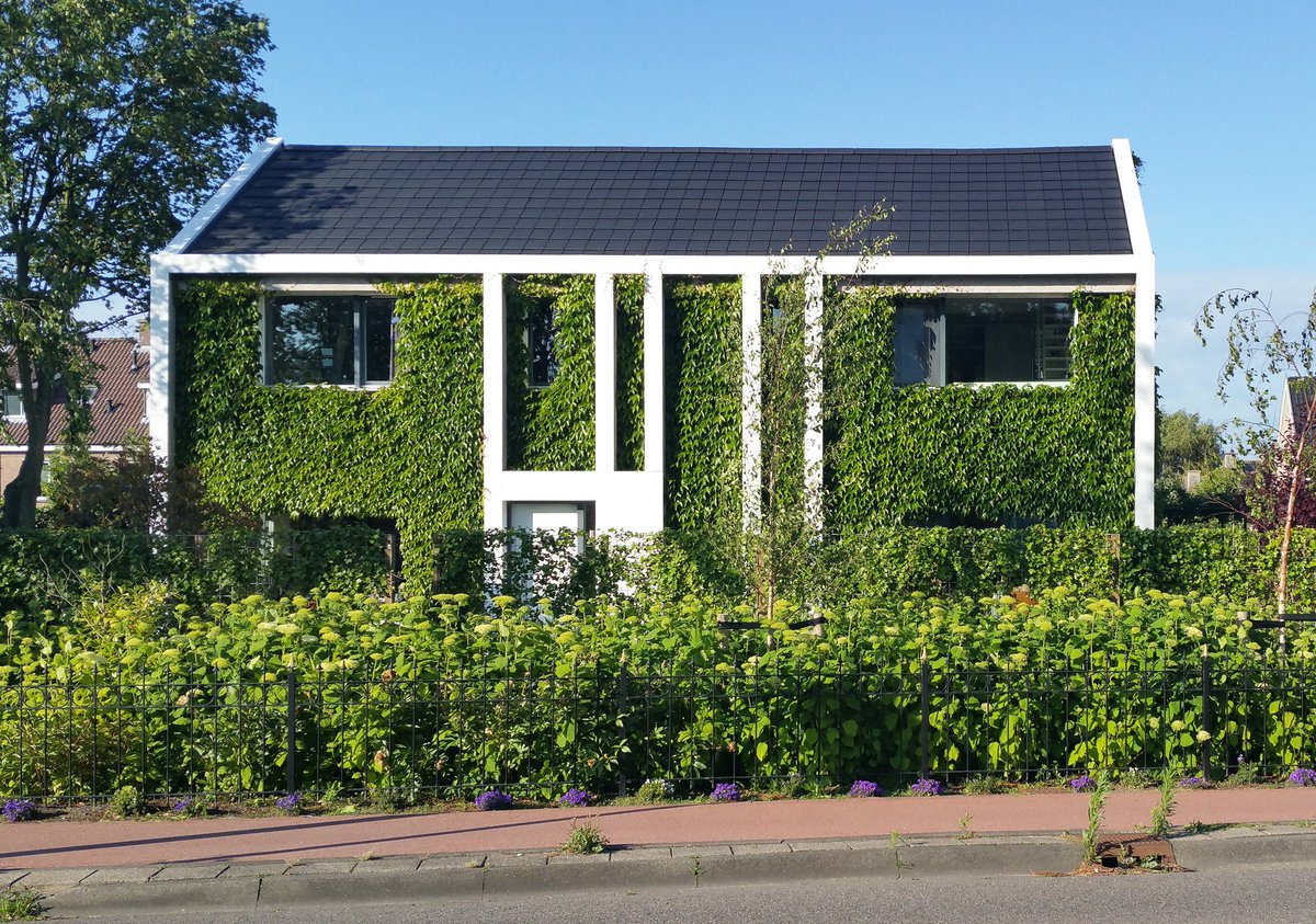 NandaSluijsmans's tweet image. Doe hem elk jaar toch even op de socials. Dit modern huis is gewoon cool! Klimplanten🌿 zijn hier onderdeel van de architectuur.
Geeft ook nogeens een koel binnenklimaat en top voor de insecten🕸🦋. Inspiratievoorbeeld toch?🤩