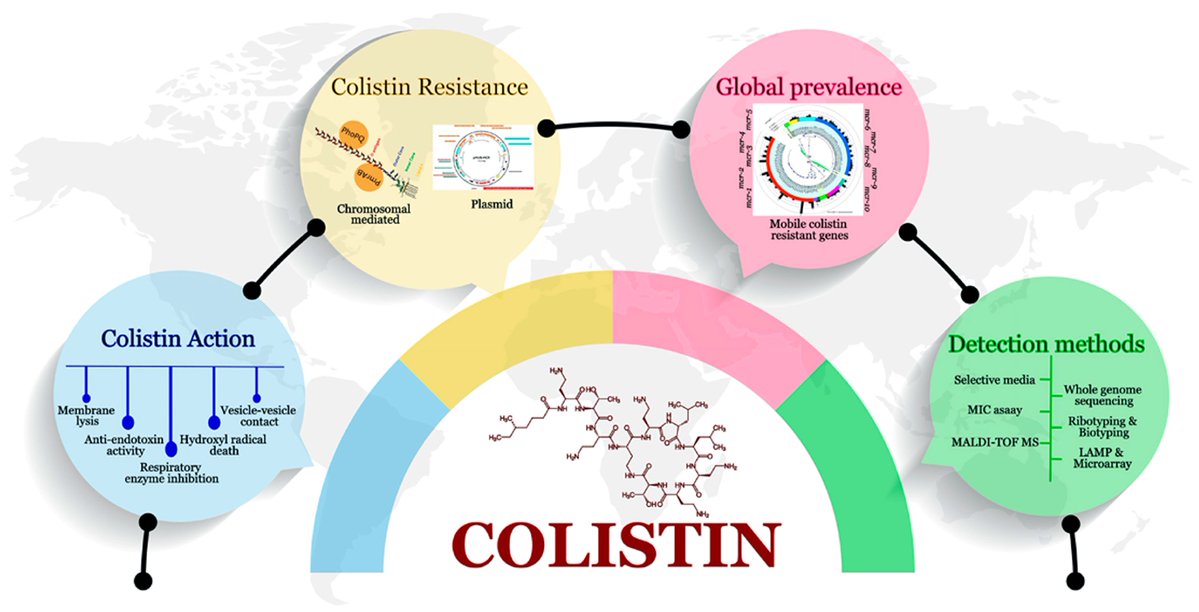 Micro_MDPI's tweet image. 🦠This review addresses the rising issue of colistin resistance, a last-resort antibiotic for Gram-negative infections, driven by chromosomal mutations and the spread of resistance genes like the mcr genes. 

🔎Read more: mdpi.com/2747536
