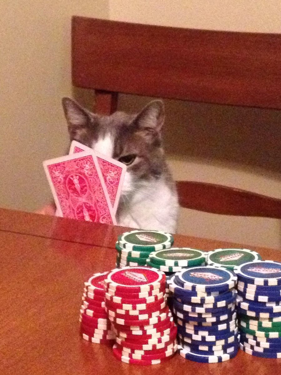 avgcryptoguy's tweet image. gm gamblers