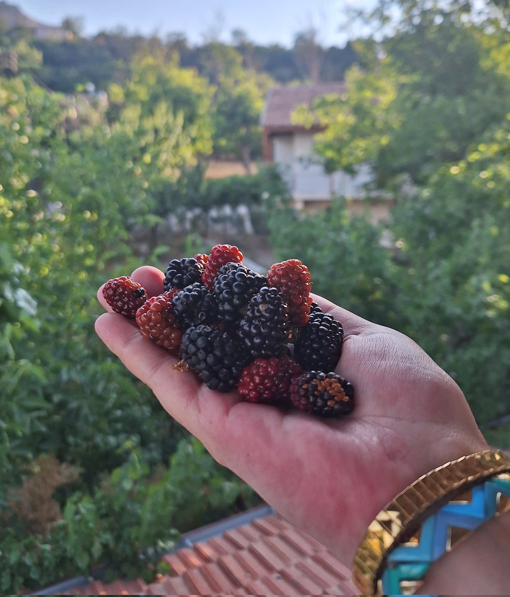 güünaayydııınn ☕️🌸

     en doğalından 🍀🩵
#salı