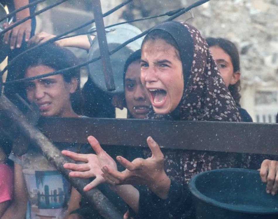 noor_noor50586's tweet image. We are still starving.
Are you still with us ? Do you hear us !ππ΅πΈ
chuffed.org/project/131791β¦