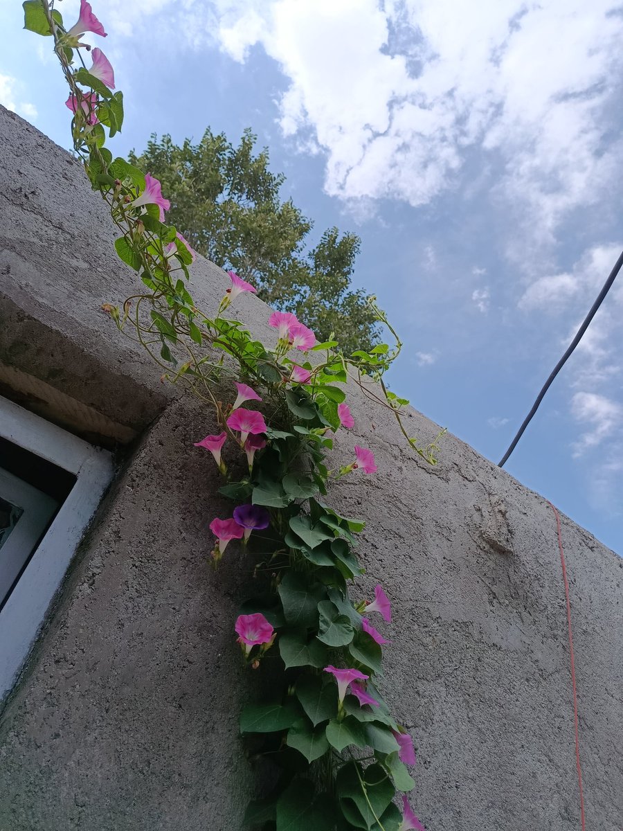 SValizsdeh's tweet image. اونجاکه محتشم کاشانی میگه:
دو منزلاند "دل" و "دیده"،
هر دو خانه ی تو
چه حاجت است که من گویمت
کجا بنشین ؟