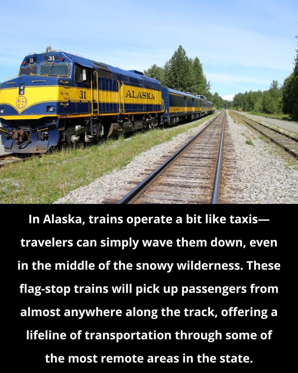 In Alaska, you can flag down a train—anywhere in the snowy wilderness. The Hurricane Turn is one of the last flag‑stop services in North America, picking up passengers wherever they wave. A true frontier lifeline on rails.