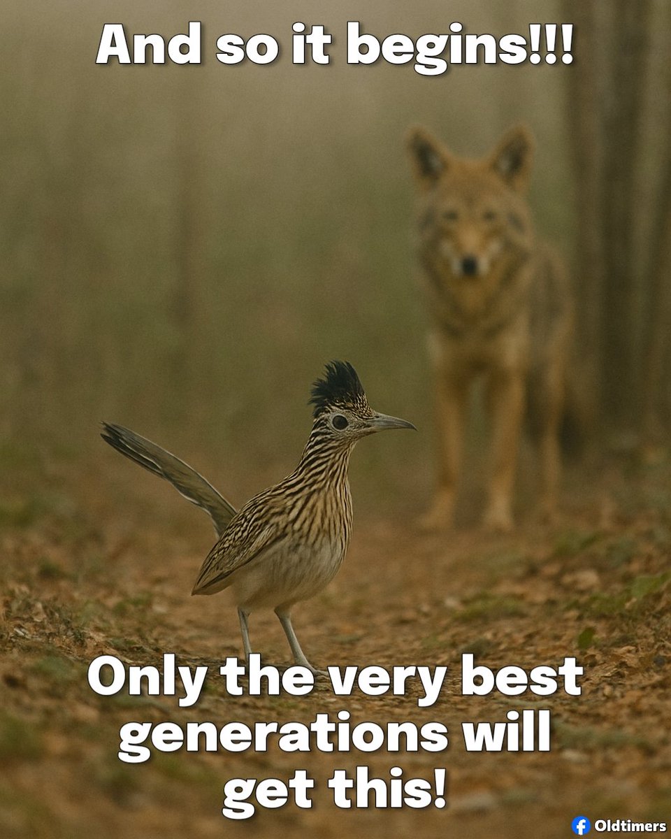 Oldtimers (@oldtimers365) on Twitter photo 