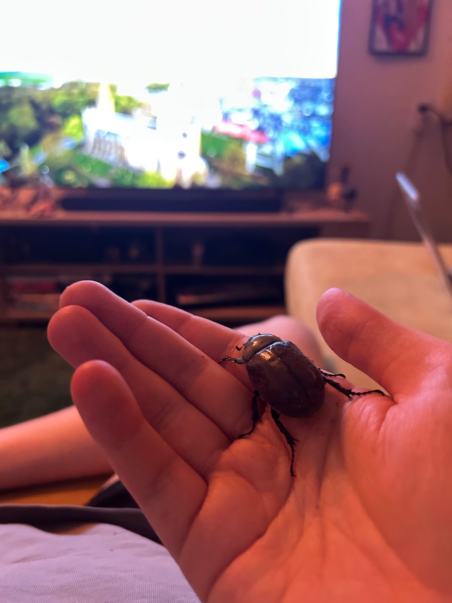 powerfulbeetle's tweet image. we are watching youtube