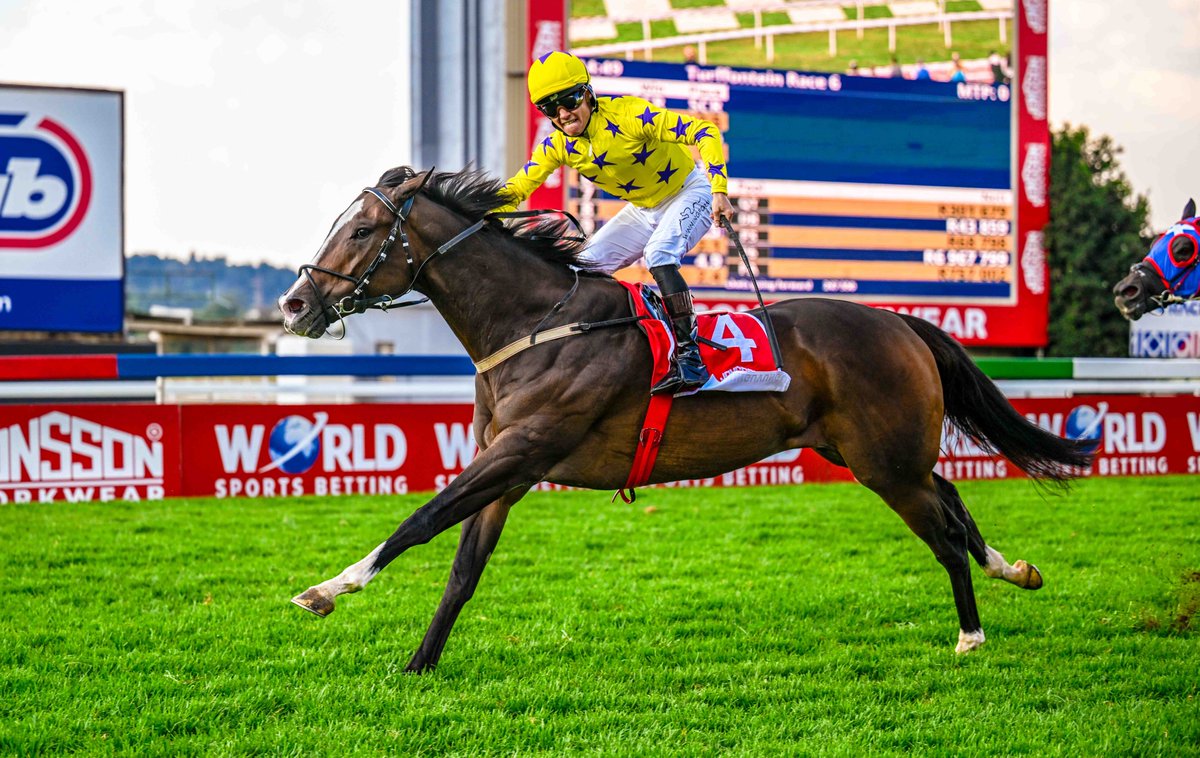 The Hollywood Syndicate, who has former champion jockey Anthony Delpech as its manager, is best known globally for sprinter Isivunguvungu (📸). 

Hollywoodbets' Devin Heffer confirmed Mike and Mat de Kock would get first pick of the yearlings, who are currently in Johannesburg.