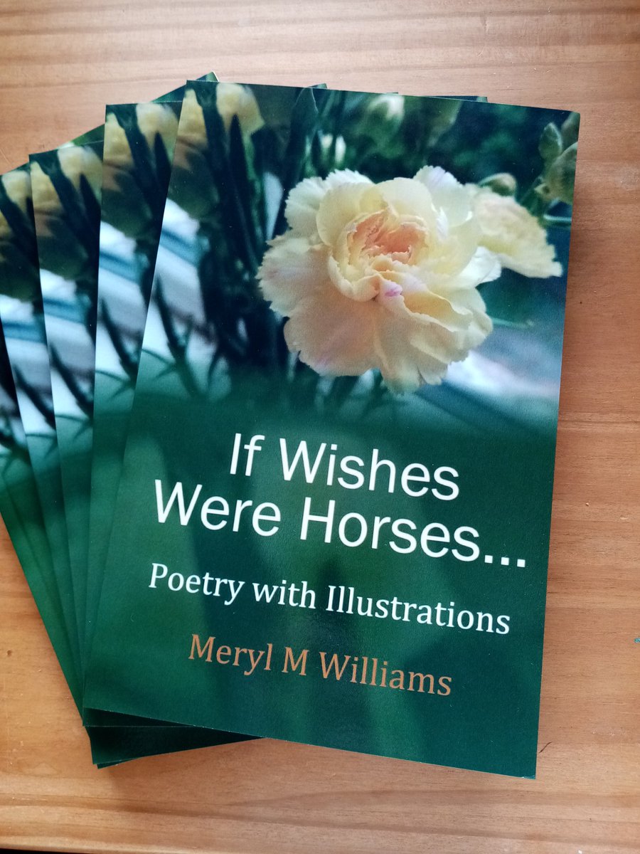 MerylW10's tweet image. If wishes were horses... A whimsical poetry anthology illustrated with black and white images and line drawings, hear how the fountains play and what makes flamingos pink. Yours to order from bookshops worldwide and near you plus Amazon.co.uk as paperback and ebook.