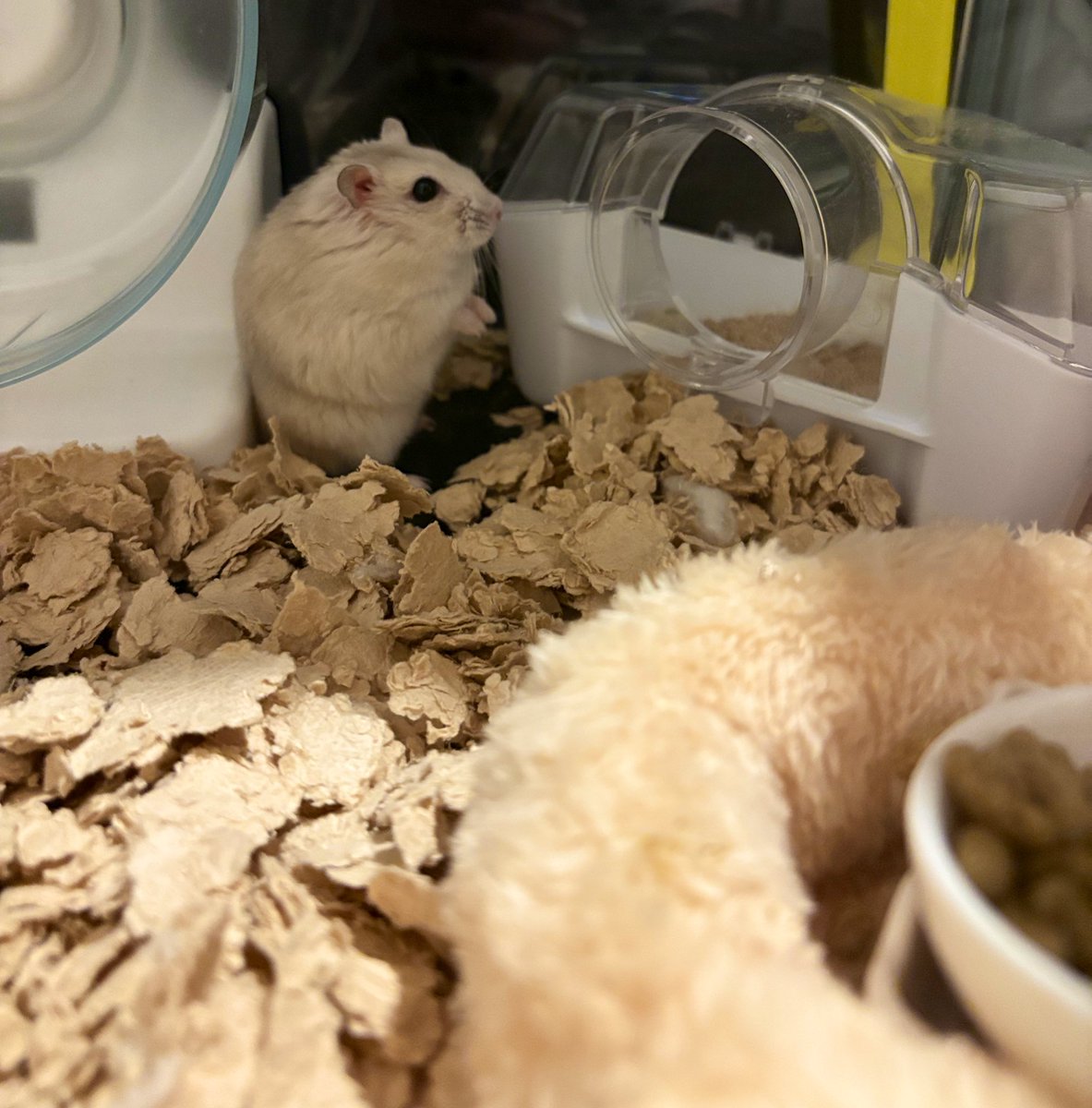 Pch___10's tweet image. ・・・・。
急に1分ほどフリーズしていました。