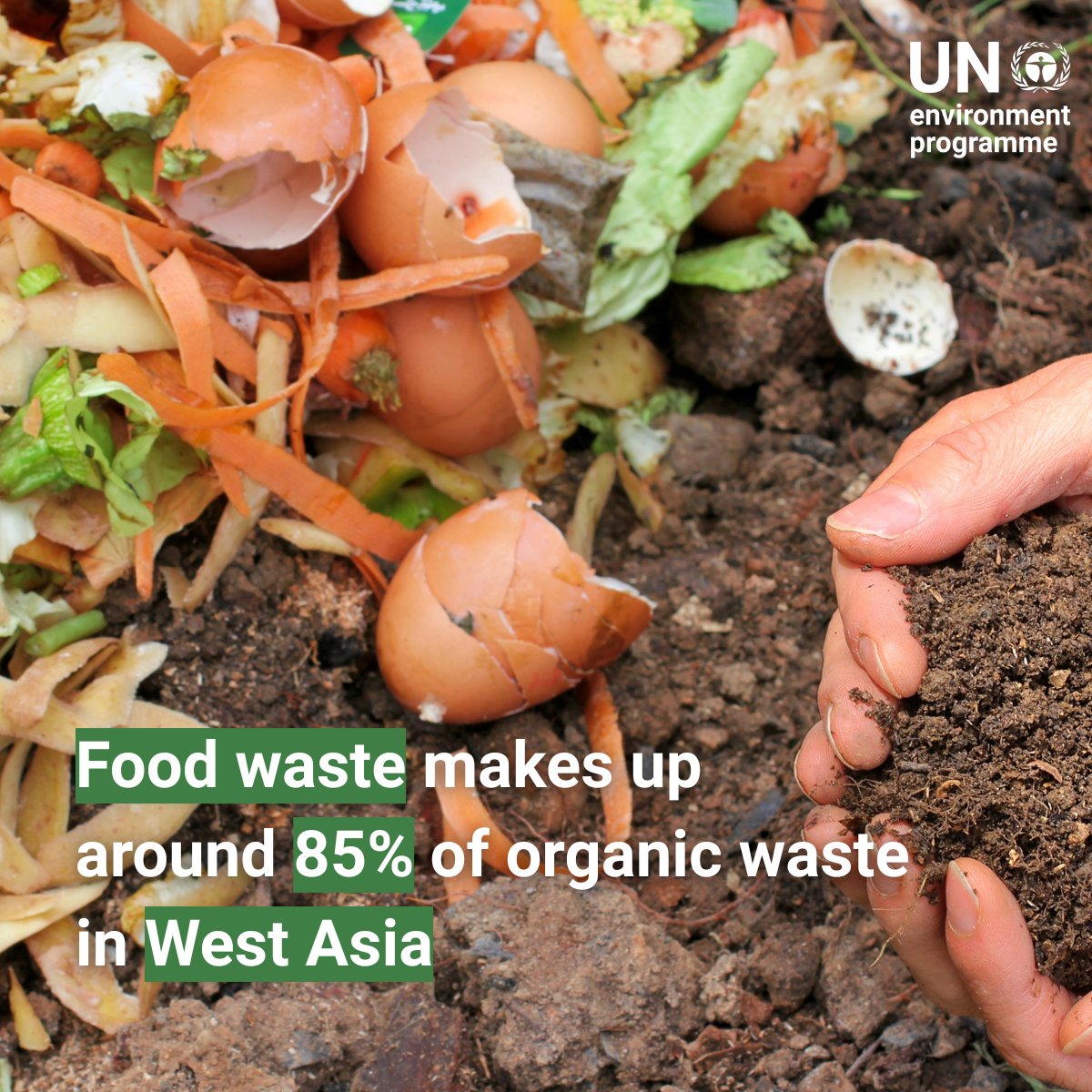 A huge amount of organic waste is generated in #WestAsia
Clear steps for segregating waste, processing it, using compost &amp; turning it into opportunities are listed in the <a href="/UNEP_WestAsia/">UN Environment Programme West Asia</a> Technical Guide on Composting for Decision Makers &amp; Practitioners

🔗 wedocs.unep.org/handle/20.500.…