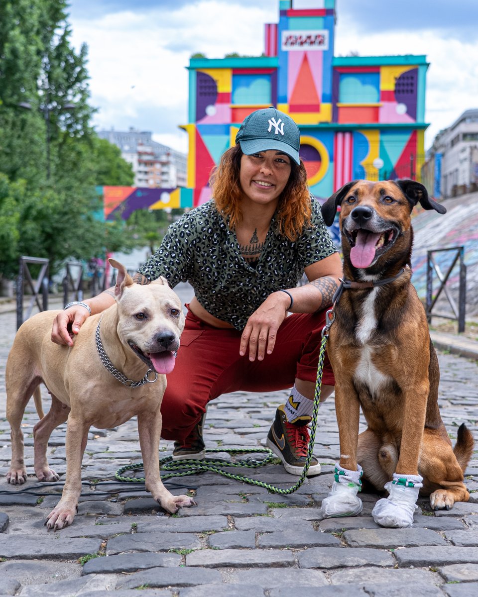 UFCFRA's tweet image. 🐕 Nora Cornolle est prête à lâcher les chiens pour son combat à l'#UFCVegas108 le 2 août