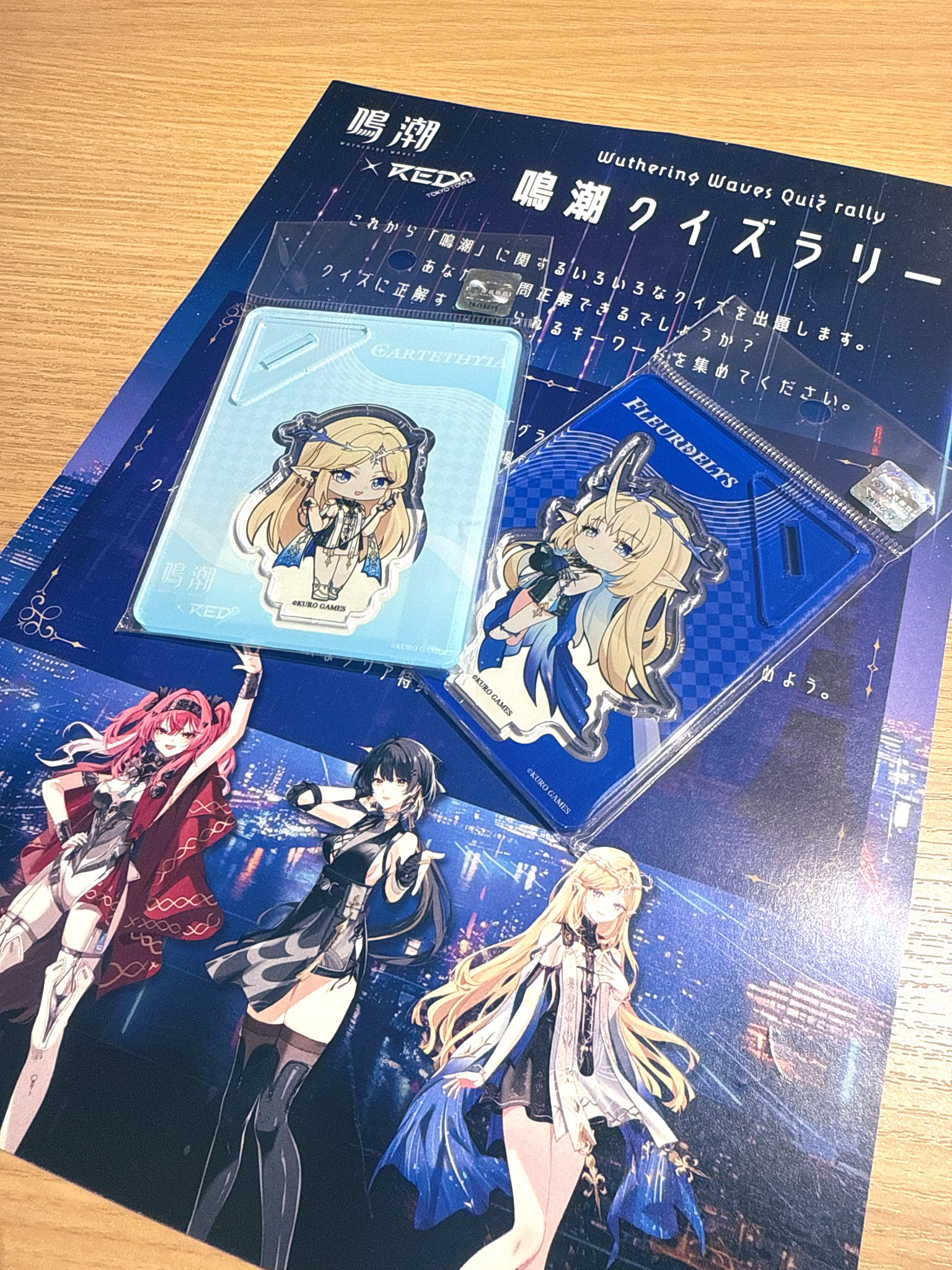 【muu☆プロフご覧下さい】ことりのおおきなあそびば 71RvgtwmiPL._SY200_QL15_.jpg