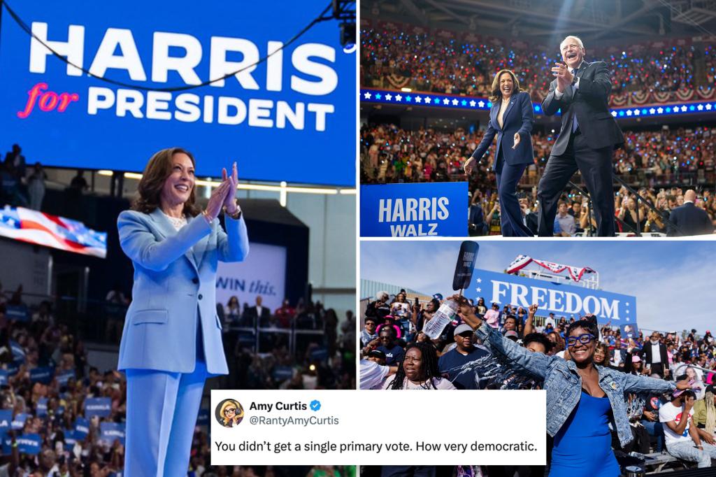 nypost's tweet image. Kamala Harris mocked for post celebrating one-year anniversary of failed presidential campaign trib.al/X8Sdtz4
