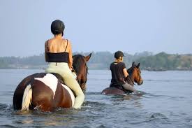 nyanasafaris's tweet image. 🛶 Jinja Adventure Safari
2 Days | Rafting + Horse Riding + Source of the Nile Visit
Adventure lives here — jump in!
📞 Reserve: +256 702 674 064
#JinjaAdventure #NileSafari